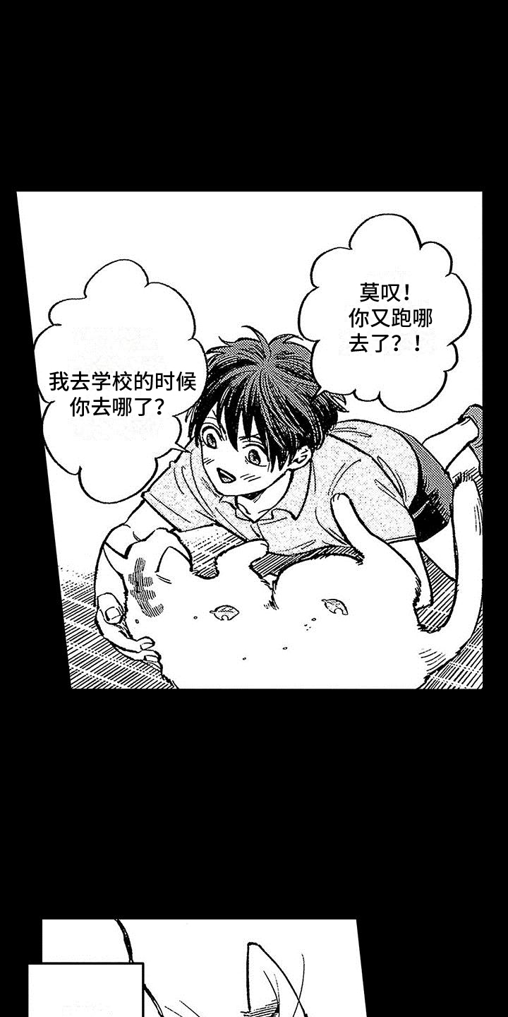 《换个方式爱你》第8章意外 第11页
