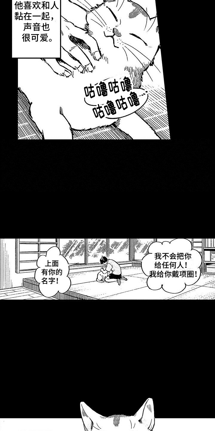 《换个方式爱你》第8章意外 第12页