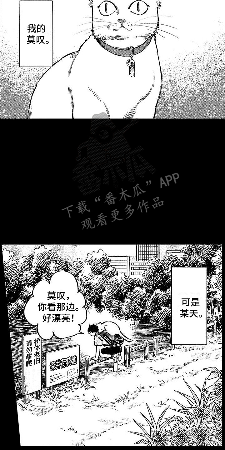 《换个方式爱你》第8章意外 第13页