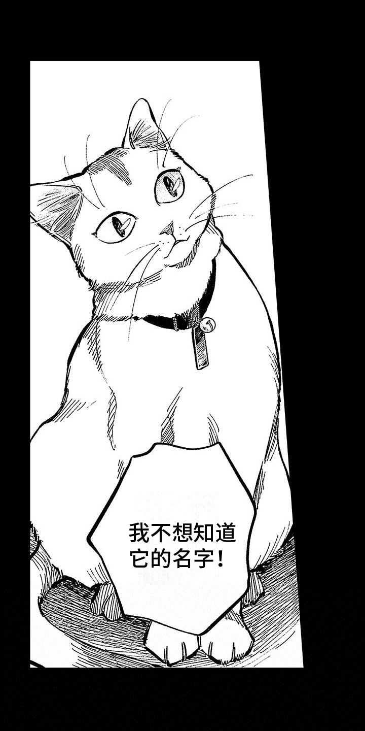 《换个方式爱你》第23章来不及 第12页