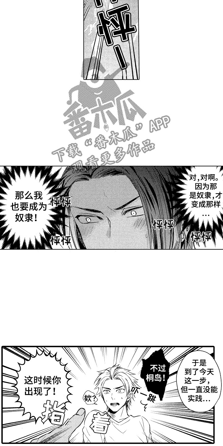 《我的服从者》第7章奴隶 第5页