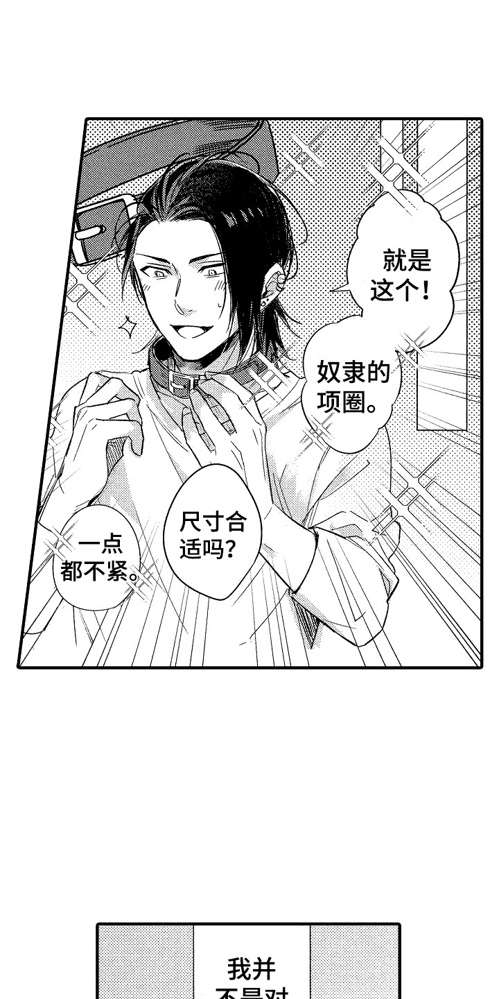 《我的服从者》第8章尝试 第1页
