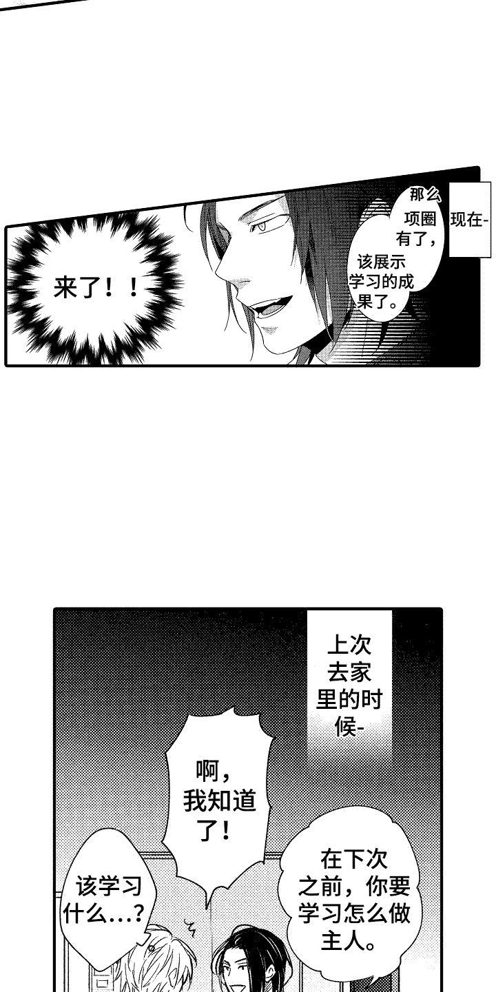 《我的服从者》第8章尝试 第3页