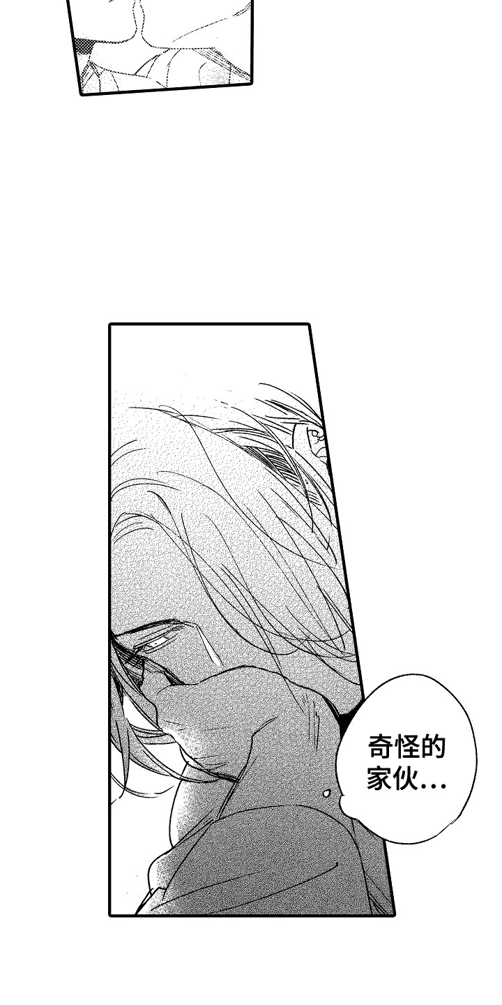 《我的服从者》第22章愤怒 第3页