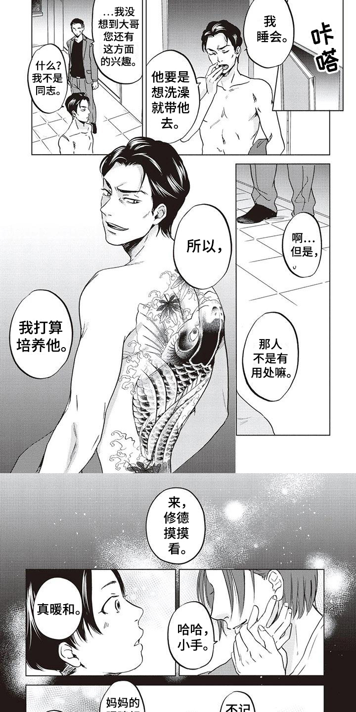 《完善的教育》第3章记忆方式 第2页