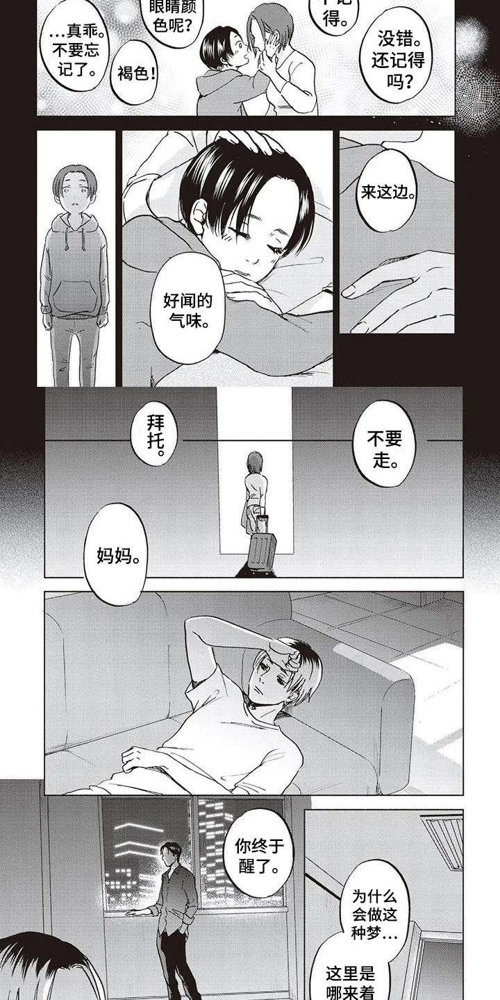 《完善的教育》第3章记忆方式 第3页