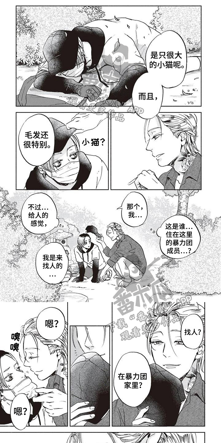 《完善的教育》第9章保护 第1页