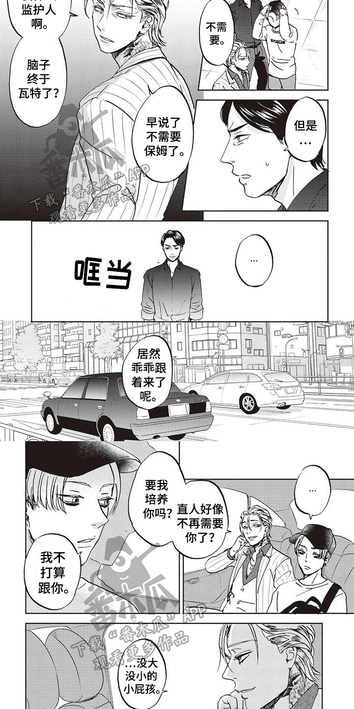 《完善的教育》第11章安排 第4页