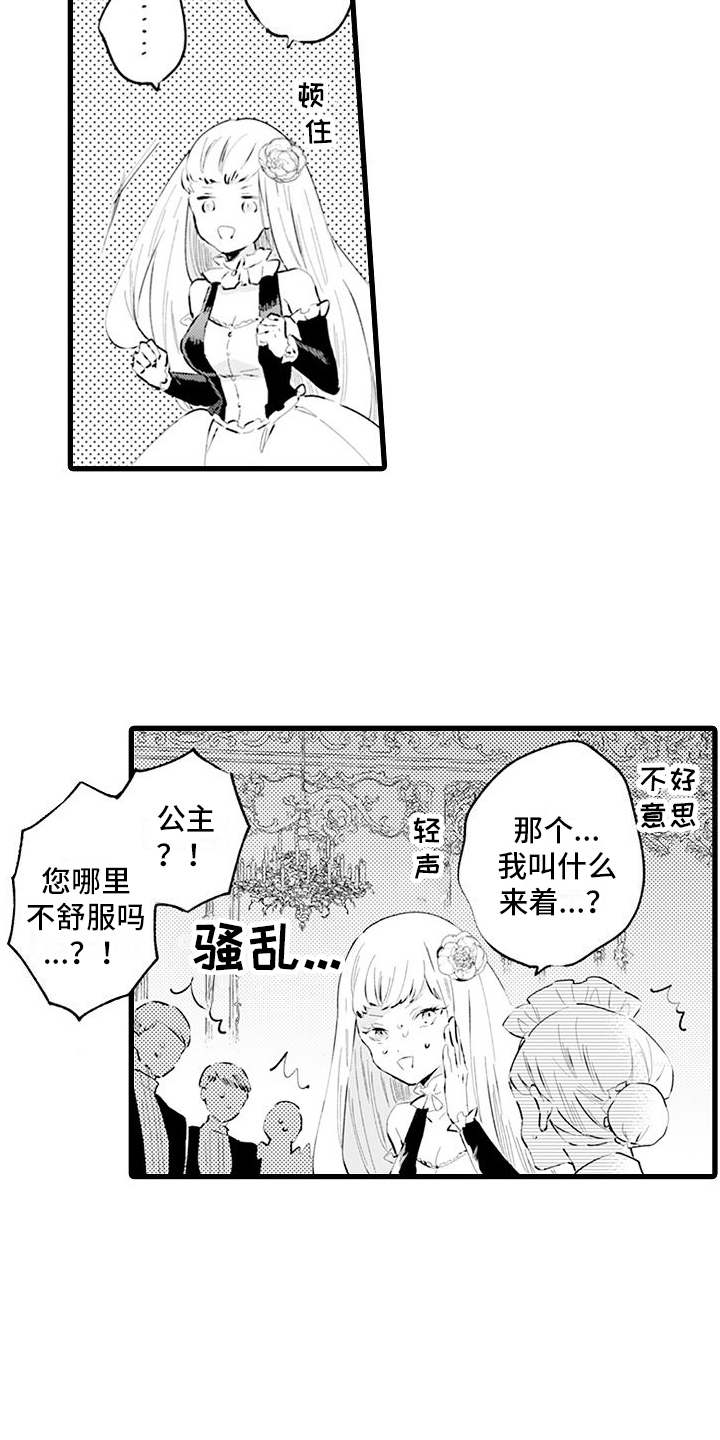 《异世界公主》第3章接纳 第2页