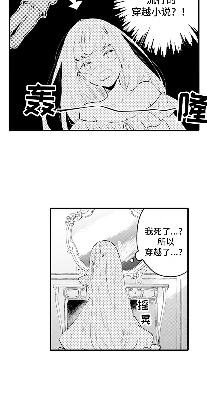 《异世界公主》第1章穿越 第13页
