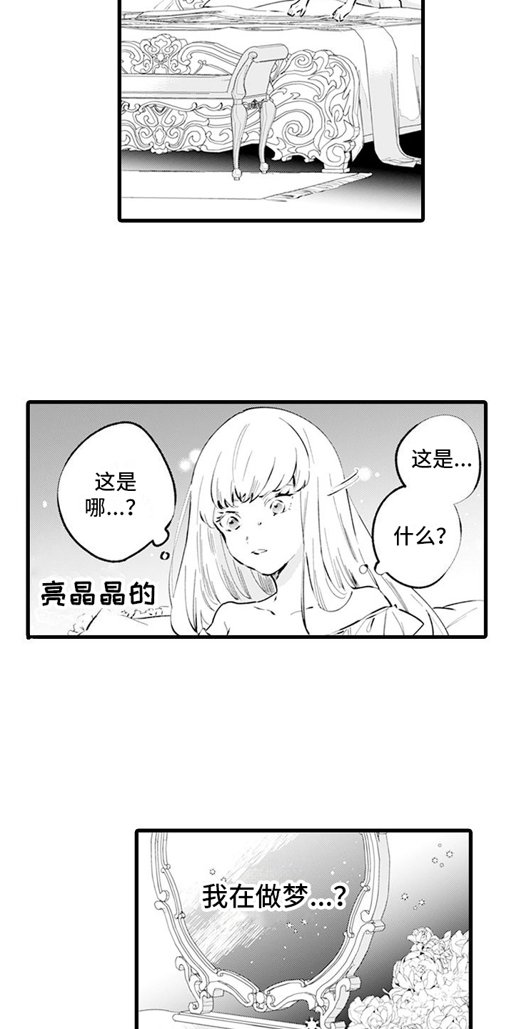 《异世界公主》第1章穿越 第7页