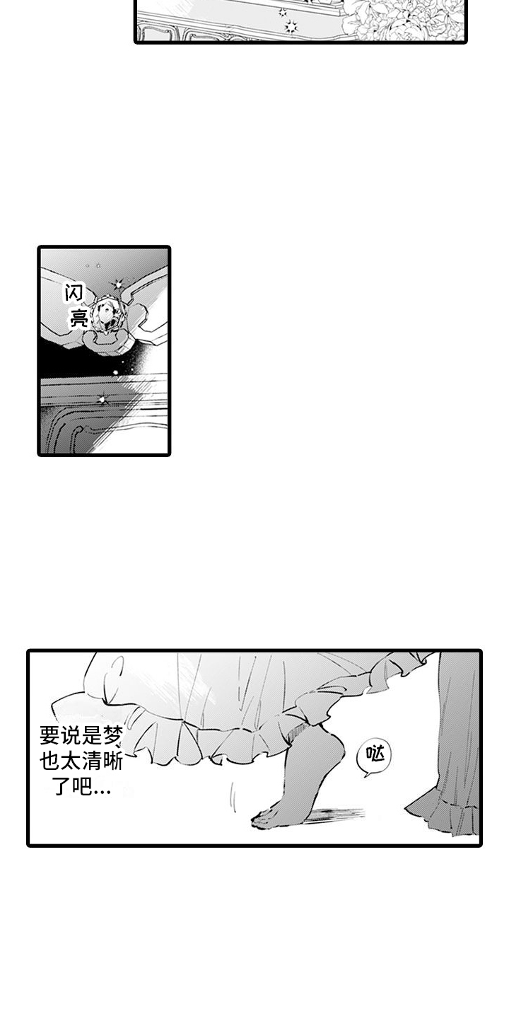 《异世界公主》第1章穿越 第8页