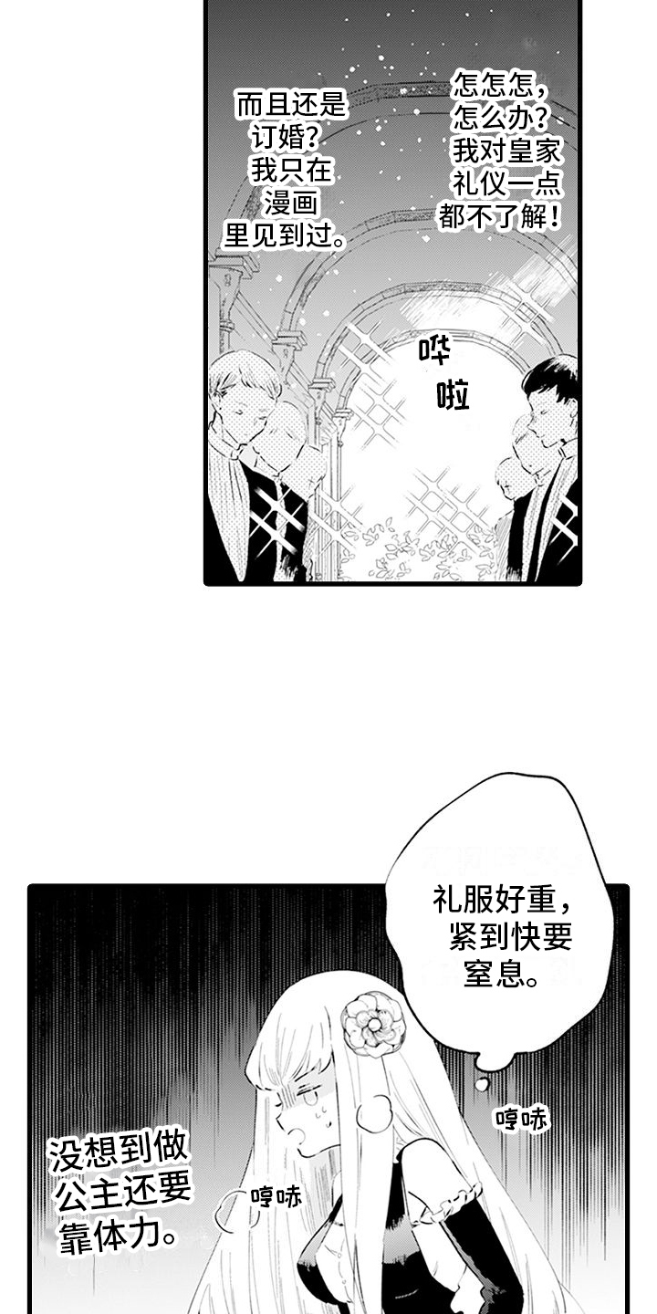 《异世界公主》第2章互换身体 第11页