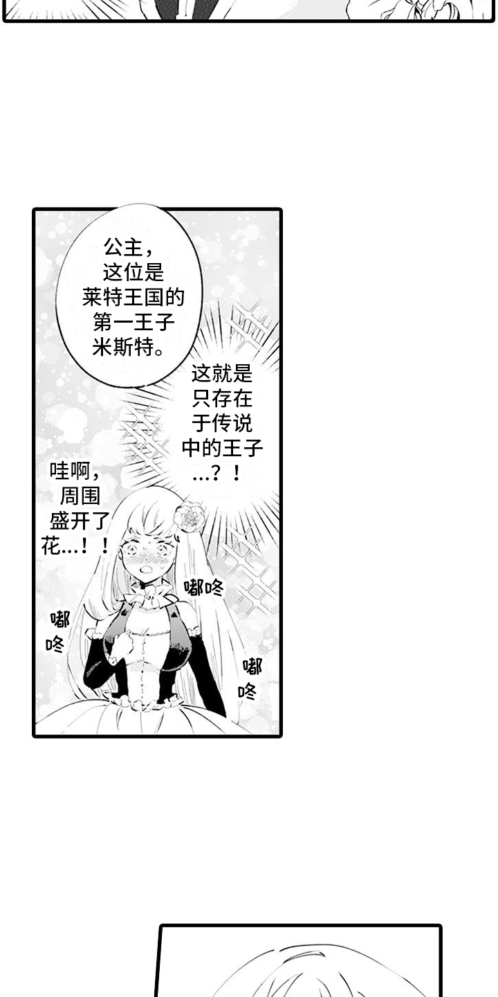 《异世界公主》第2章互换身体 第18页