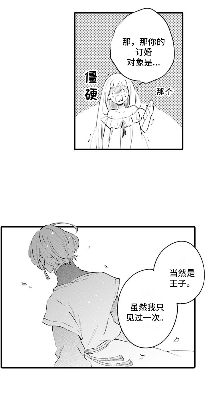《异世界公主》第2章互换身体 第8页
