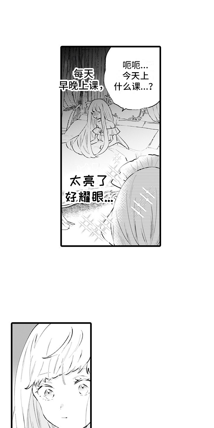 《异世界公主》第6章体谅 第2页