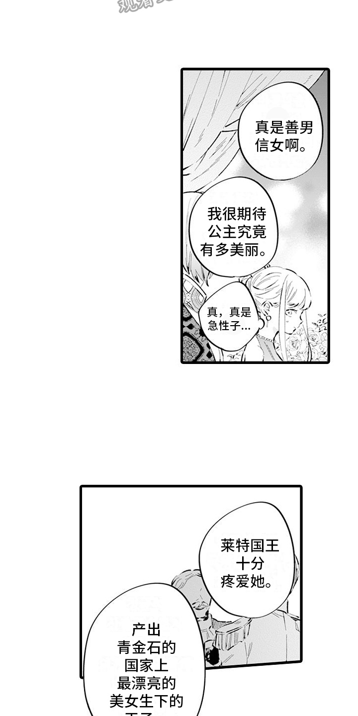 《异世界公主》第10章议论 第15页