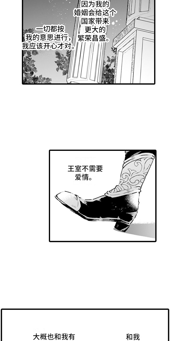 《异世界公主》第13章温暖的感觉 第4页