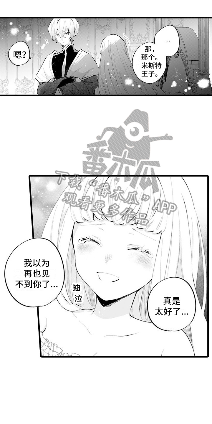 《异世界公主》第16章别离开我 第11页