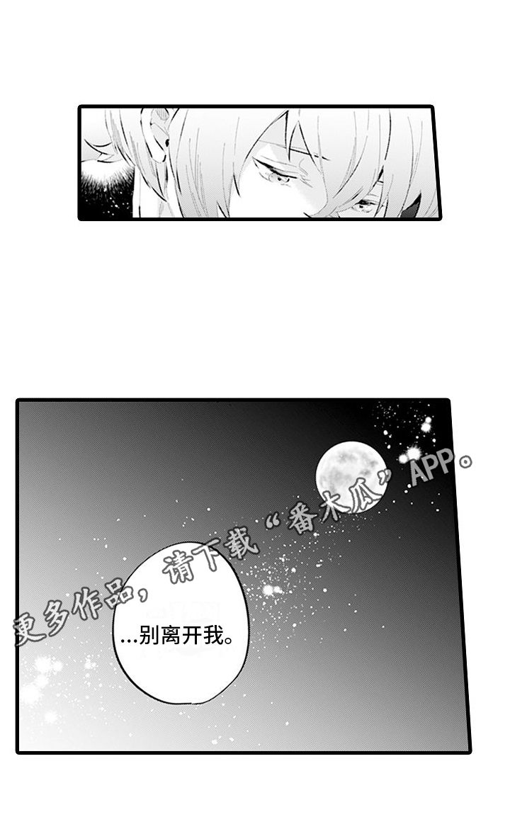 《异世界公主》第16章别离开我 第19页