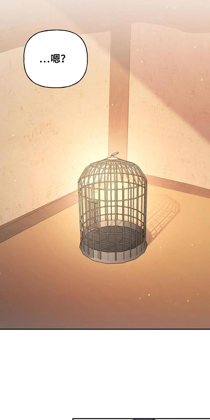 《养虎为患》第31章漂亮的小鸟 第18页