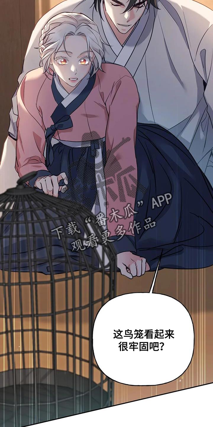 《养虎为患》第31章漂亮的小鸟 第20页