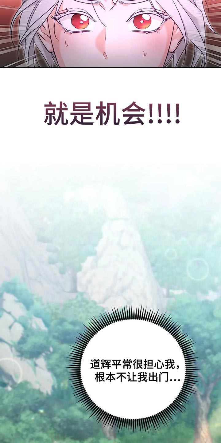 《养虎为患》第26章大本营 第11页