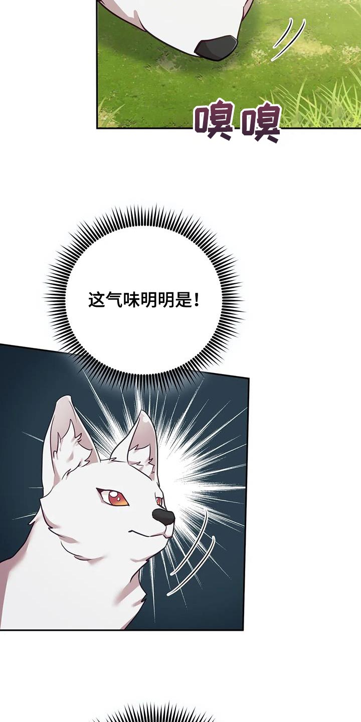 《养虎为患》第26章大本营 第22页