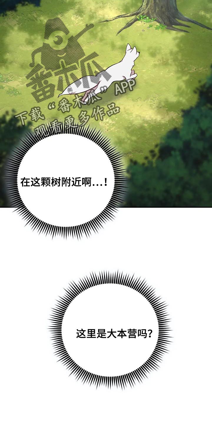 《养虎为患》第26章大本营 第24页