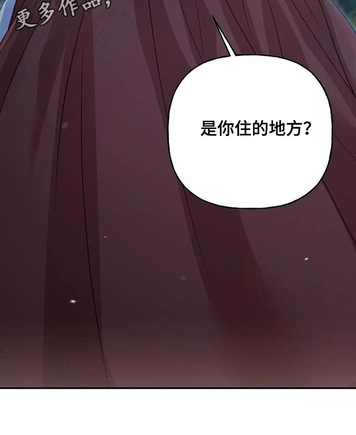《养虎为患》第26章大本营 第29页