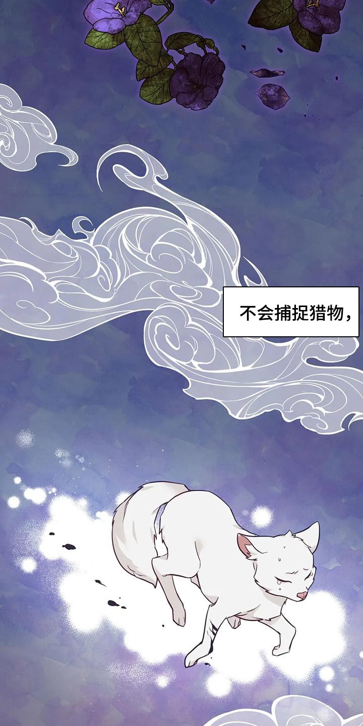 《养虎为患》第28章什么味道都闻不到 第16页