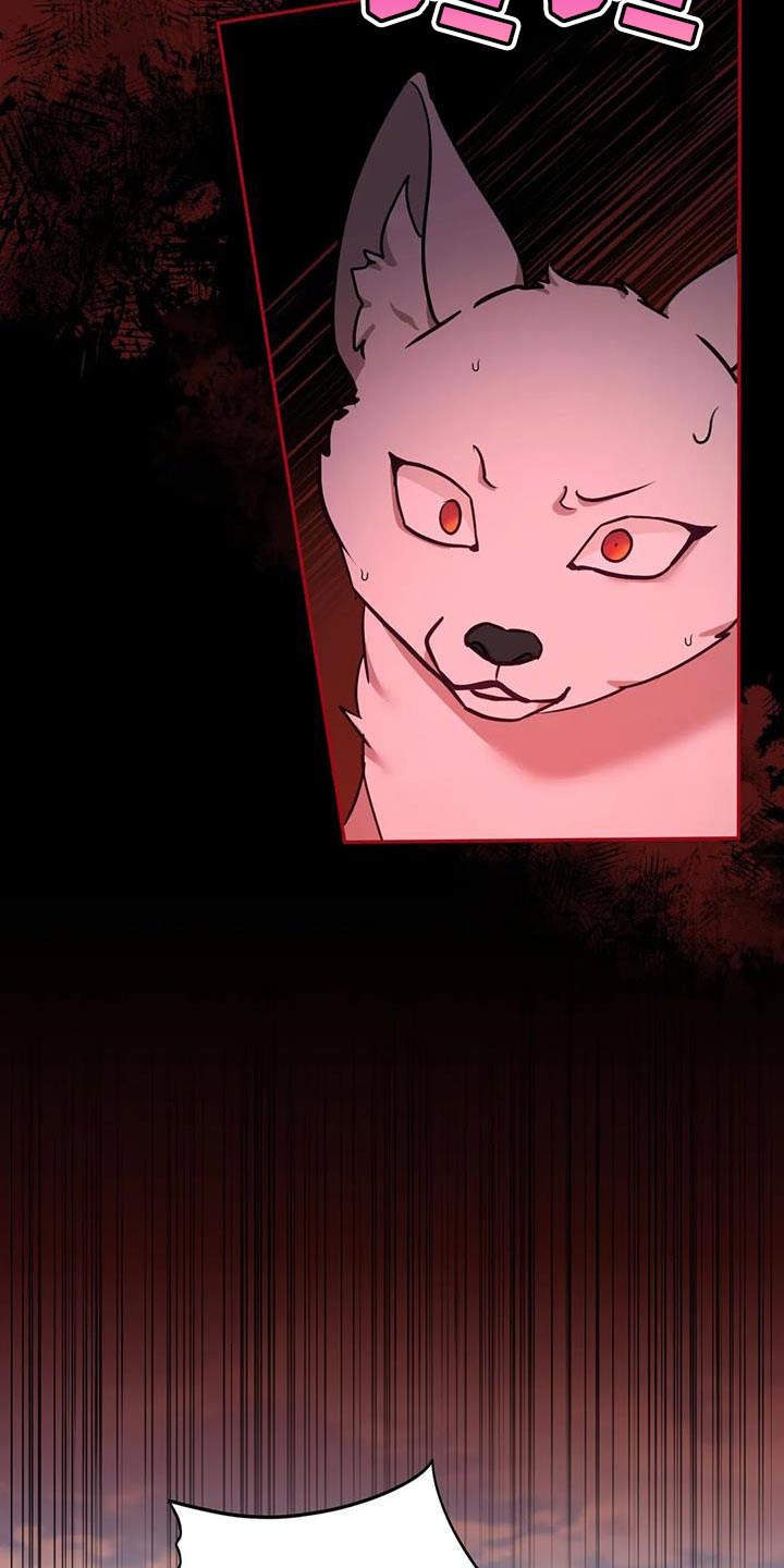 《养虎为患》第27章毒草 第13页
