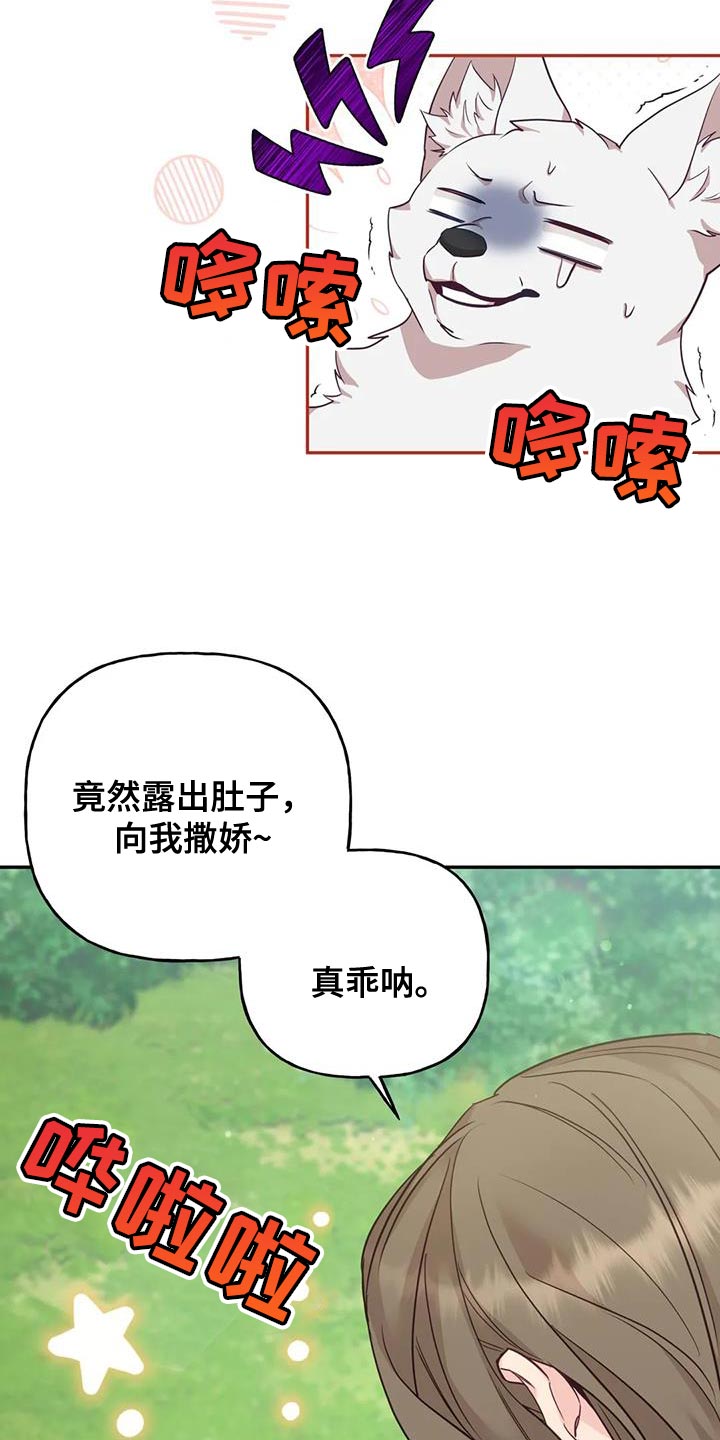 《养虎为患》第27章毒草 第7页