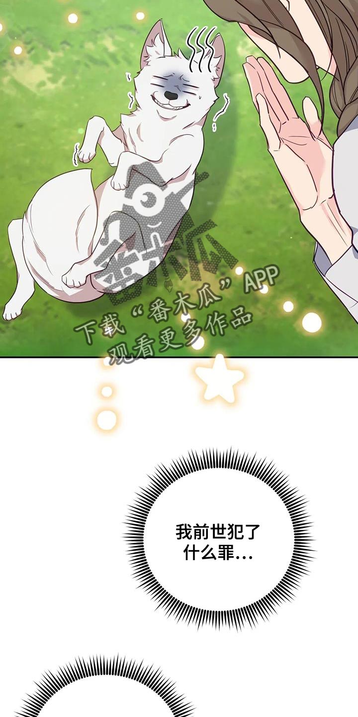 《养虎为患》第27章毒草 第8页