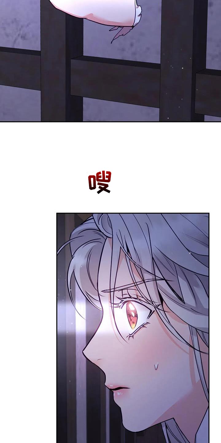 《养虎为患》第19章悄悄跟上去 第13页