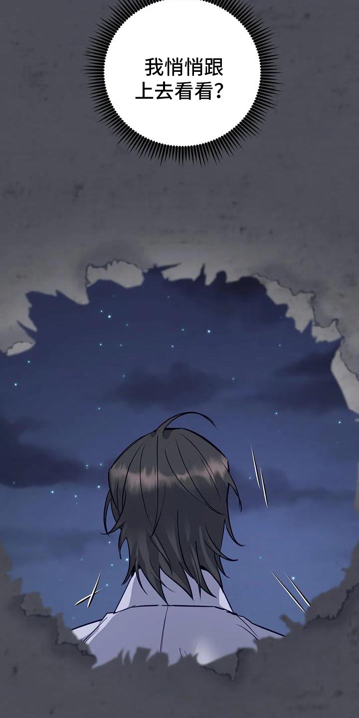 《养虎为患》第19章悄悄跟上去 第16页