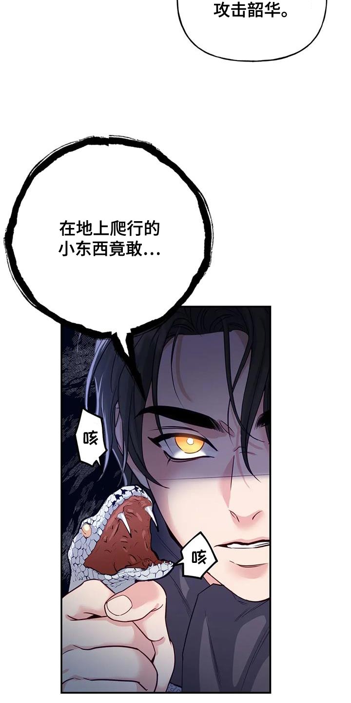 《养虎为患》第16章没必要再听了 第24页