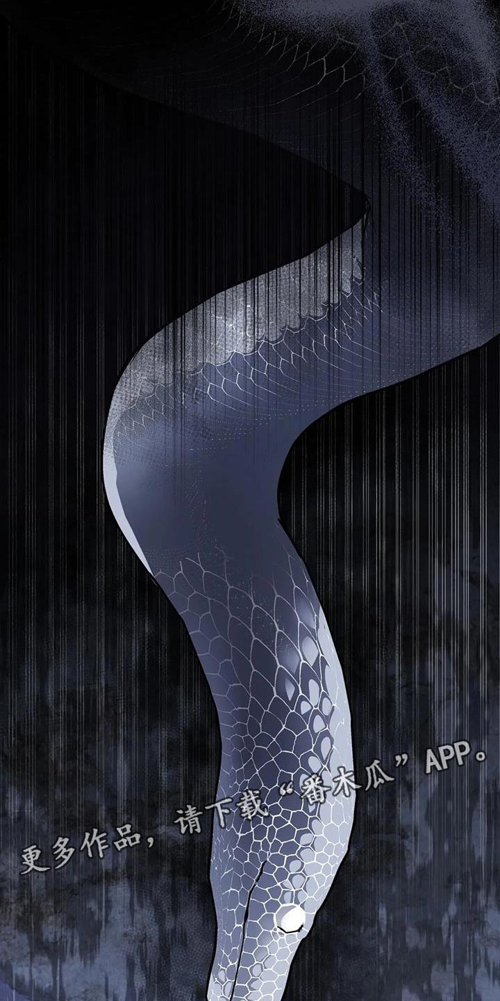 《养虎为患》第14章白蛇 第37页
