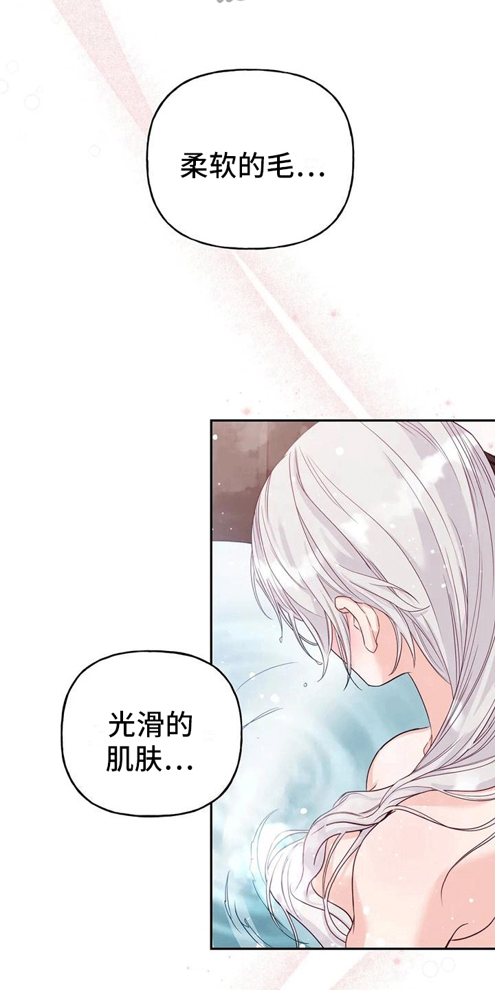 《养虎为患》第11章梦中 第13页