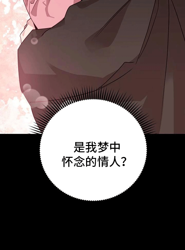 《养虎为患》第11章梦中 第40页