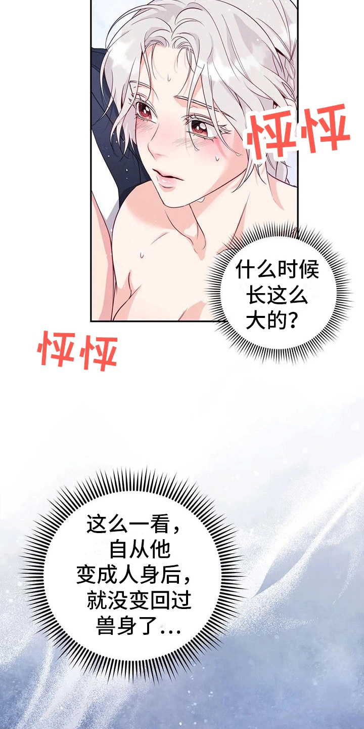 《养虎为患》第11章梦中 第6页