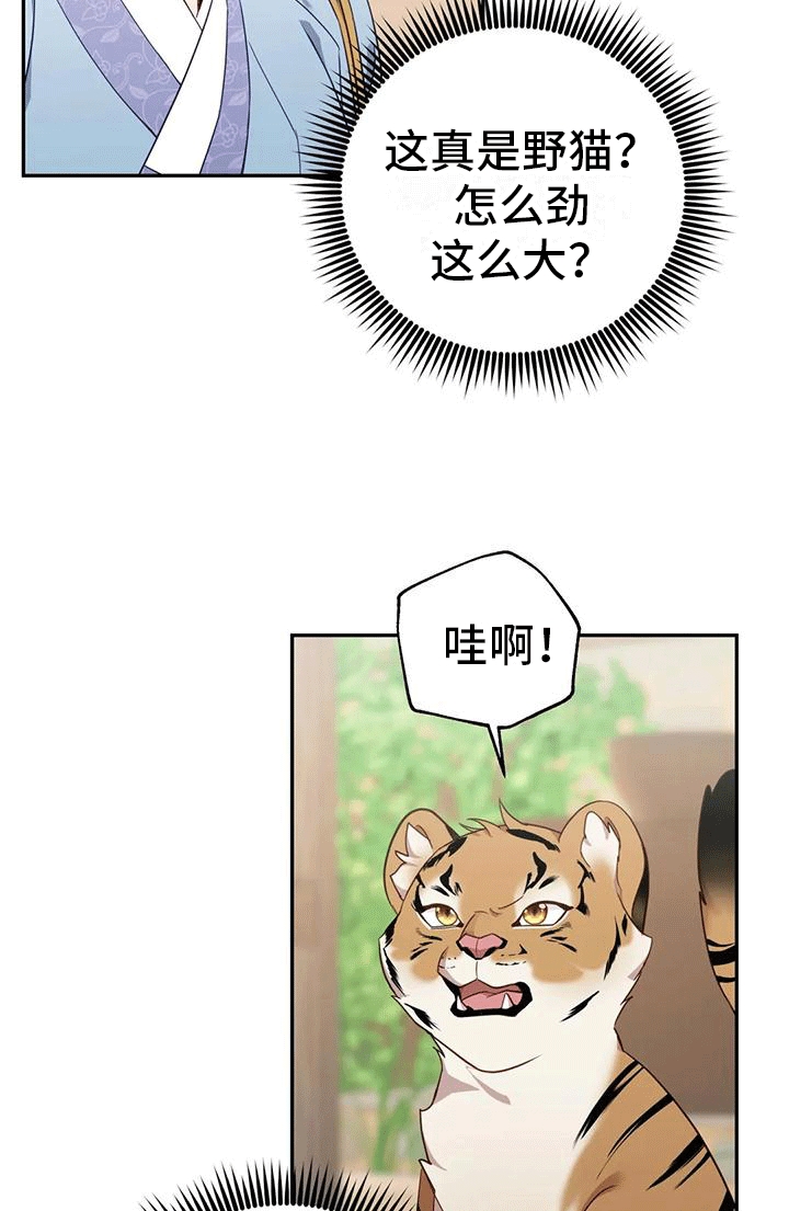 《养虎为患》第5章出门 第22页