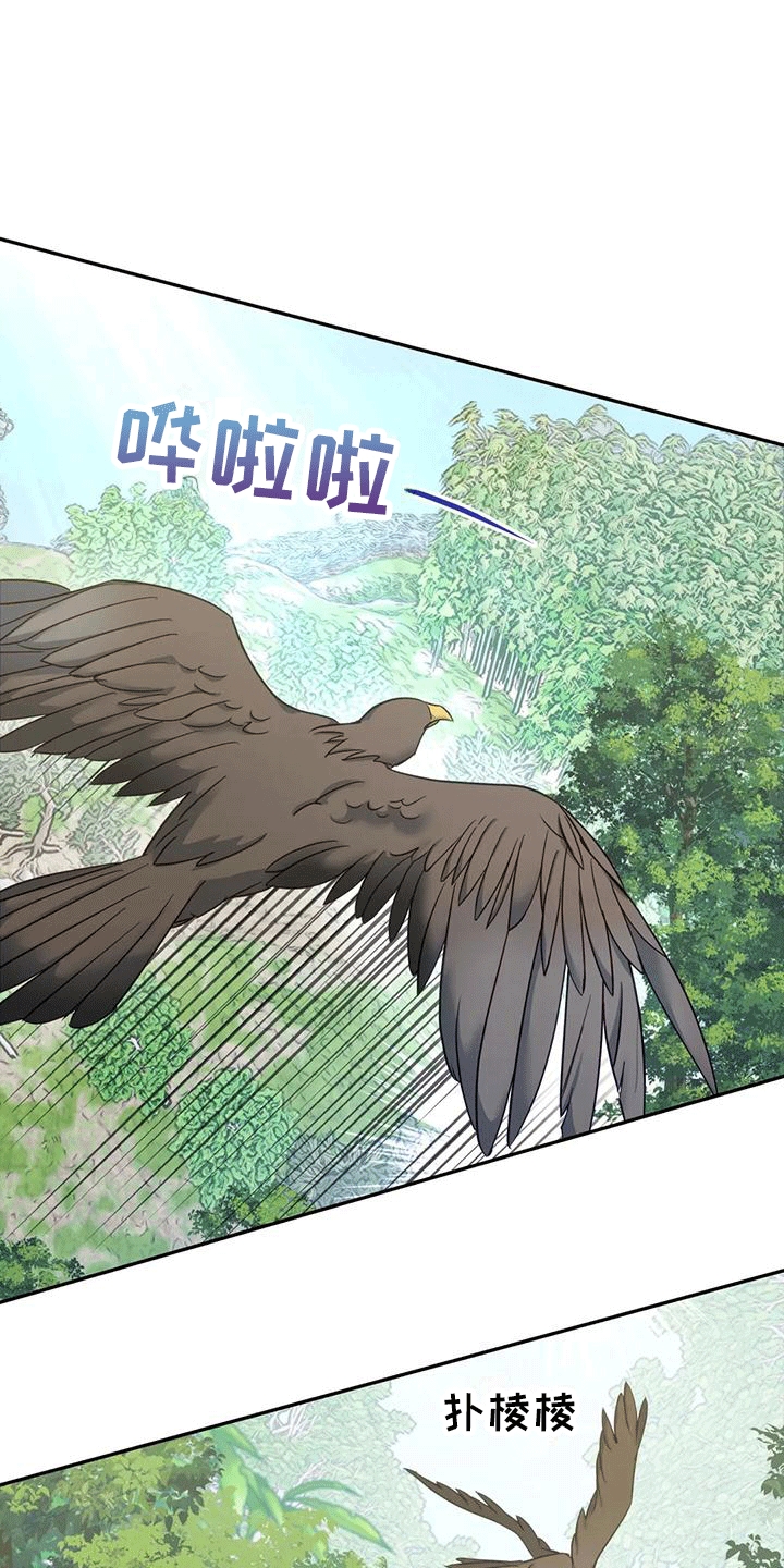 《养虎为患》第5章出门 第26页