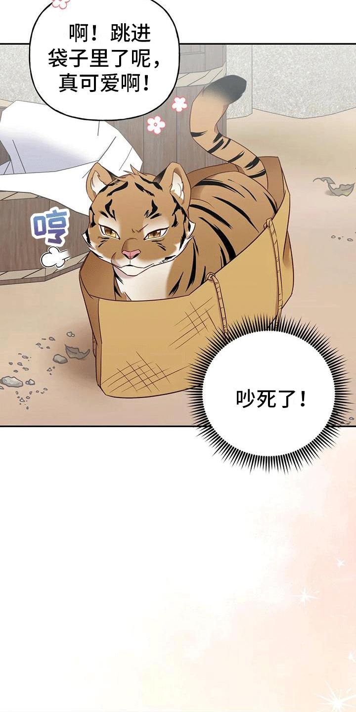 《养虎为患》第5章出门 第3页