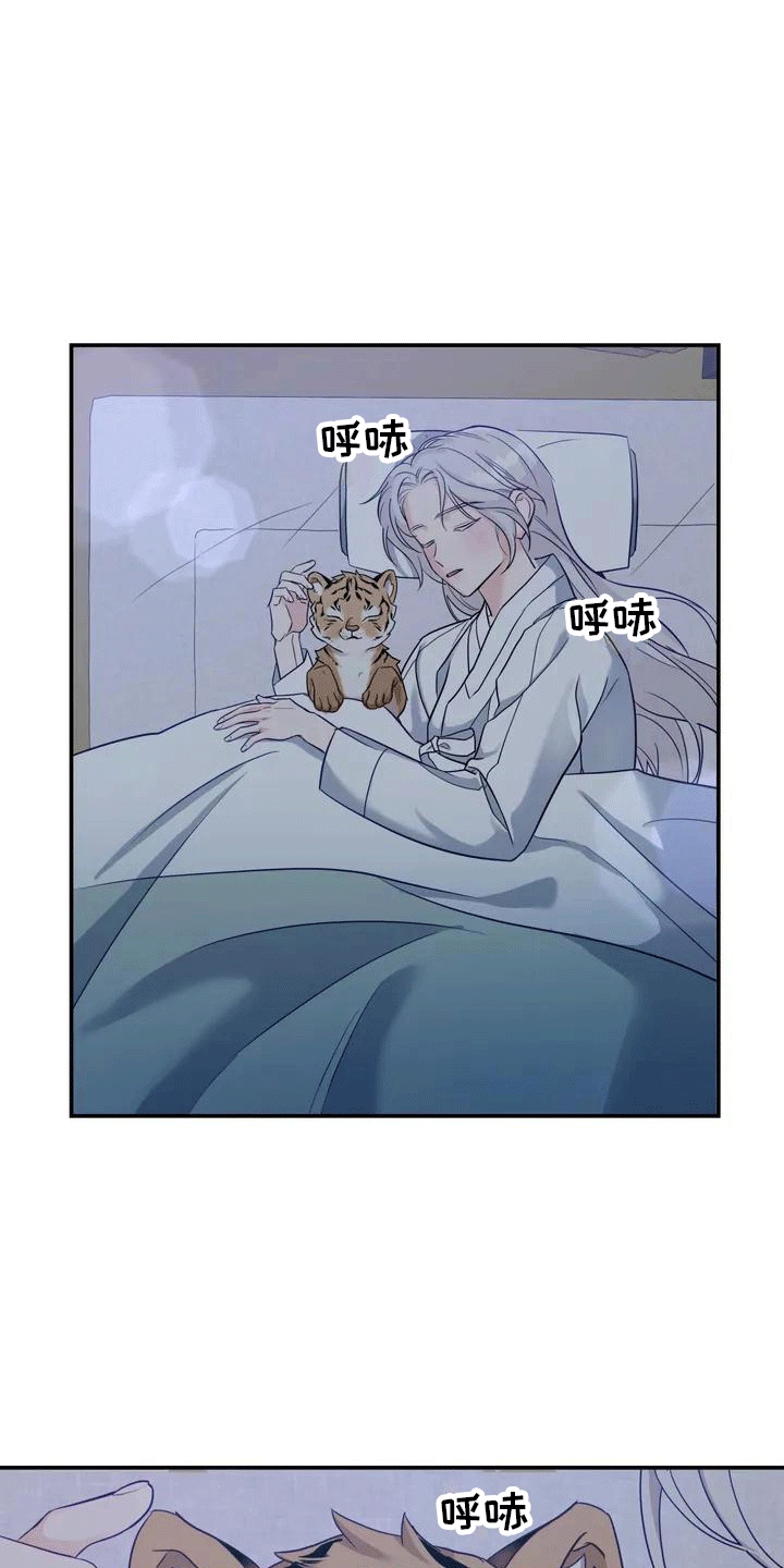 《养虎为患》第4章老虎 第13页
