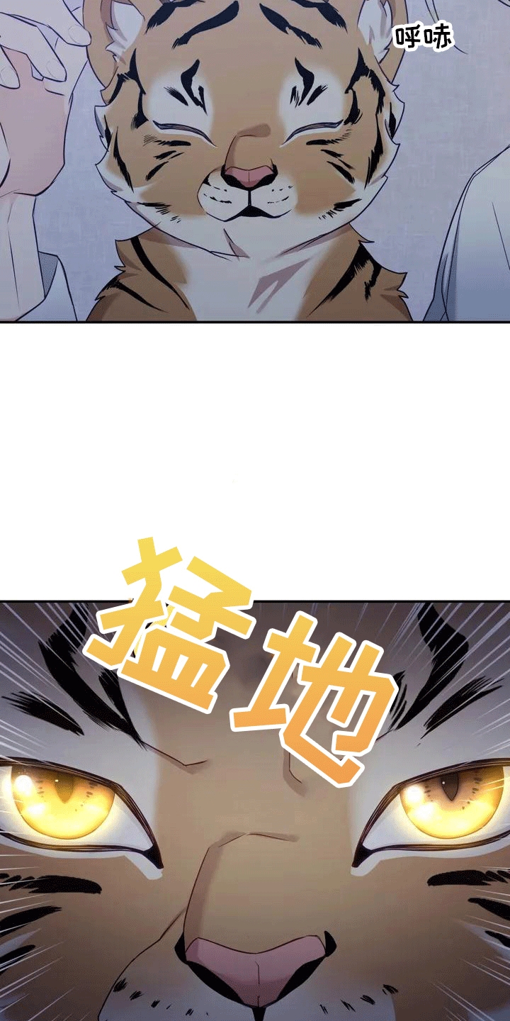 《养虎为患》第4章老虎 第14页