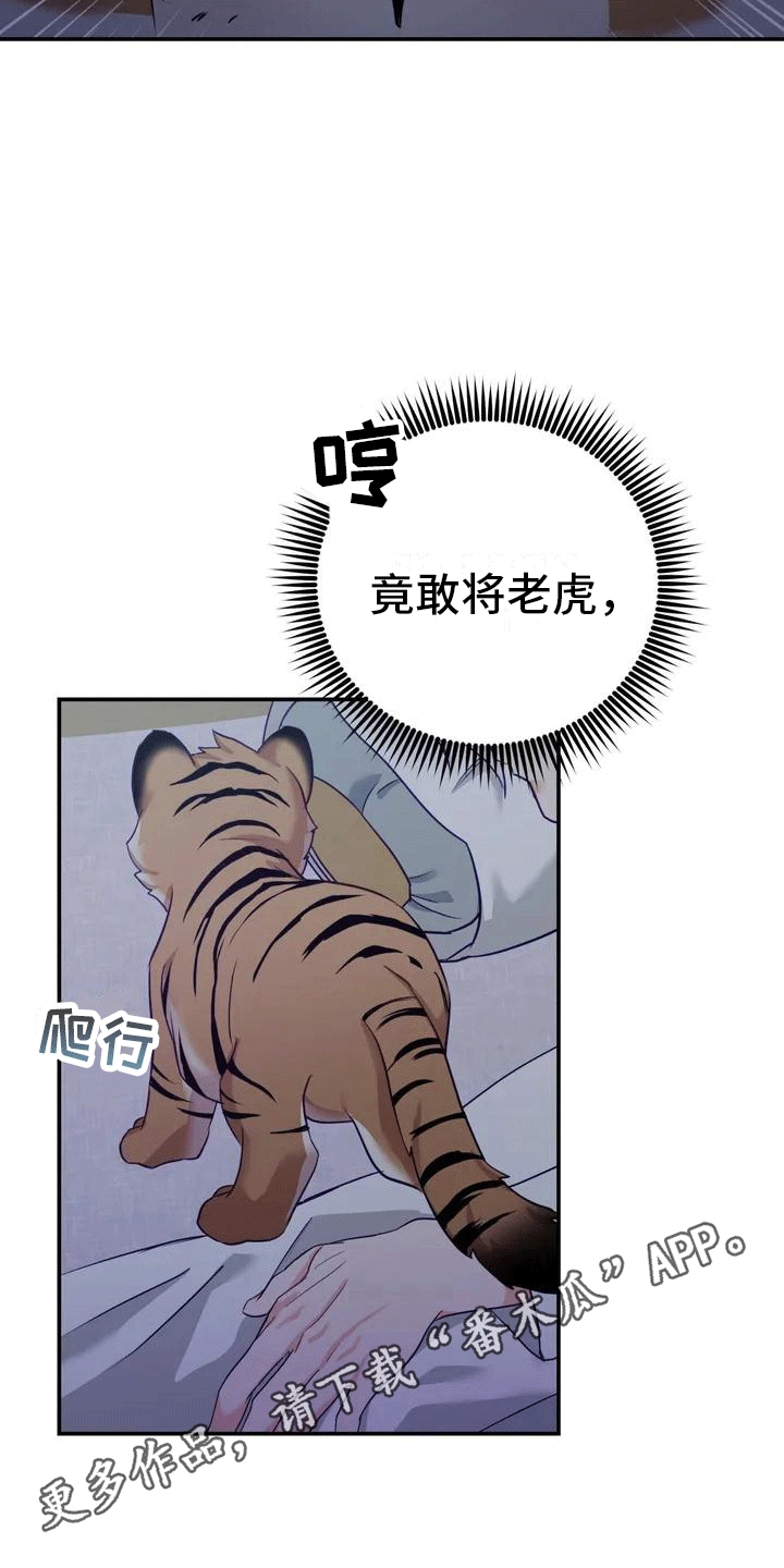 《养虎为患》第4章老虎 第15页