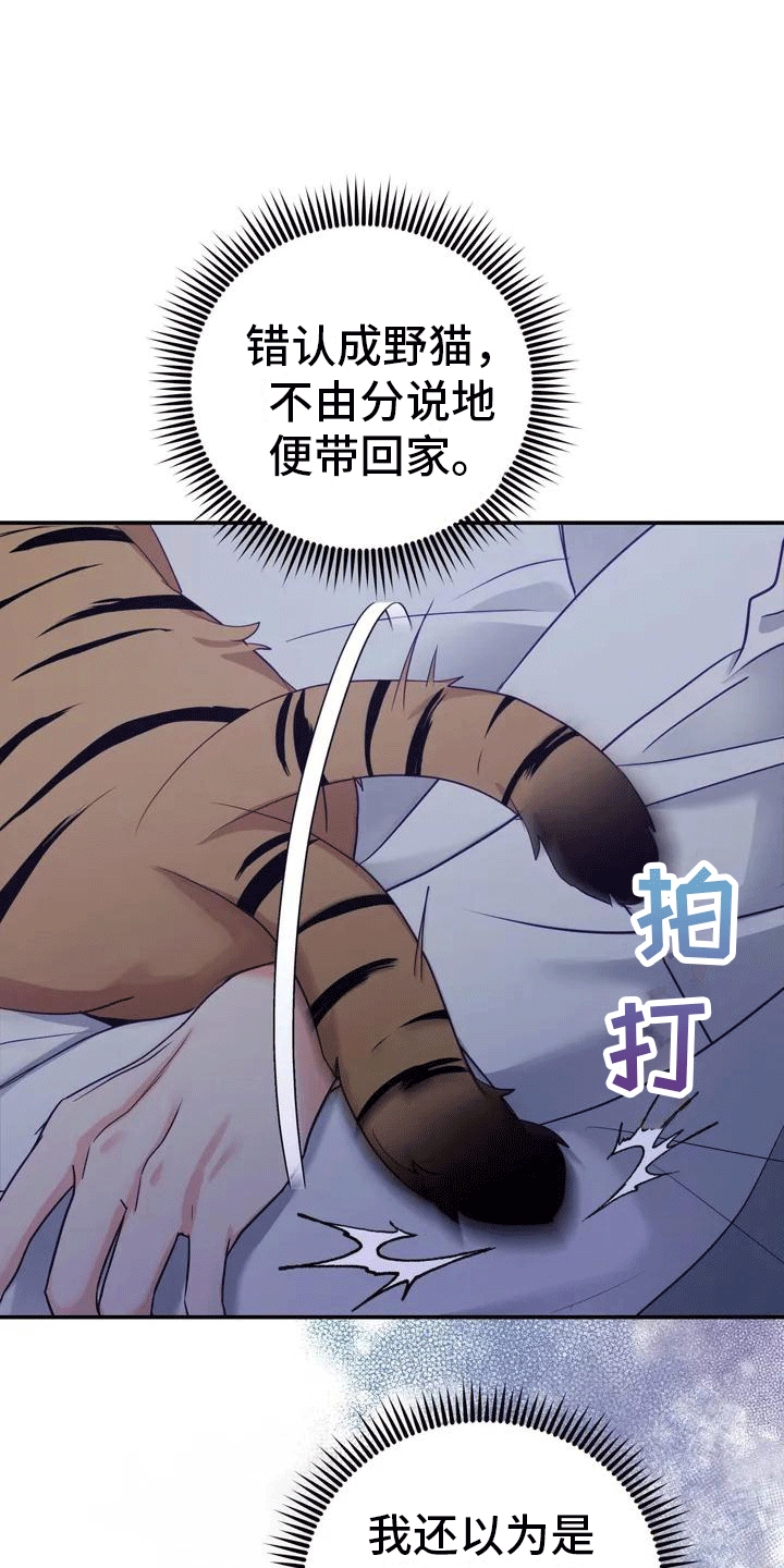 《养虎为患》第4章老虎 第16页