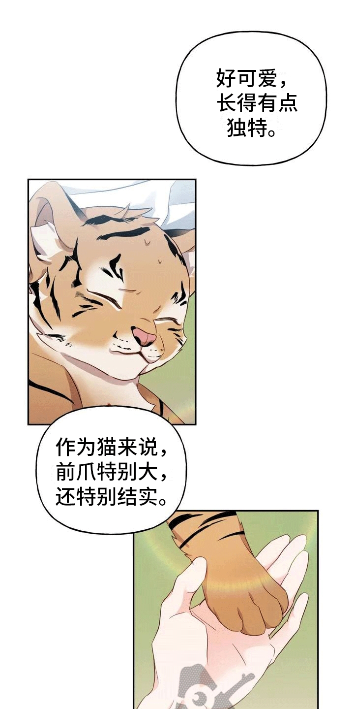 《养虎为患》第4章老虎 第1页