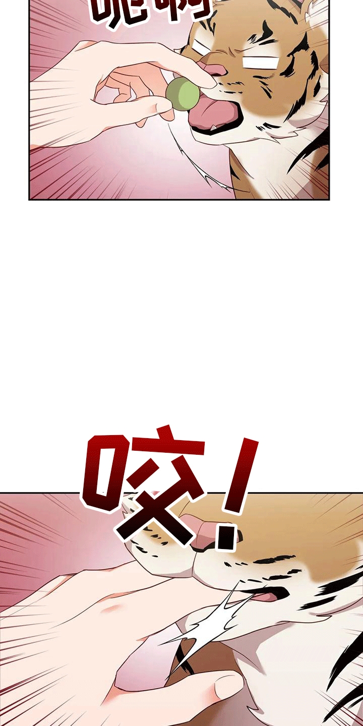 《养虎为患》第4章老虎 第28页